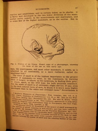 The Descent of Man
