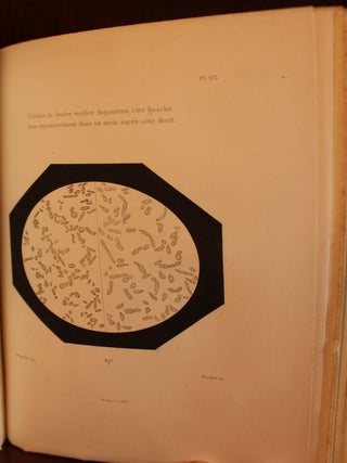 Etudes Sur La Biere (Study of Beer or Fermentation)