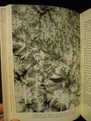 Wandering Through Winter: A Naturalist's Record of a 20,000-Mile Journey Through the North America