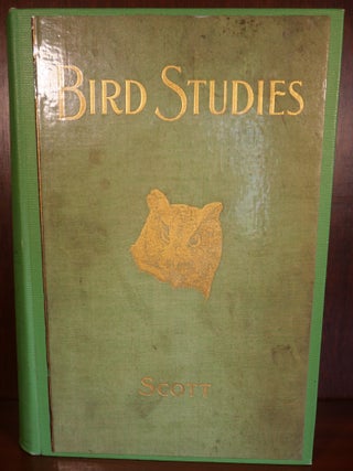 Item #4310 Bird Studies An Account of the Land Birds of Eastern North America. William Earle...