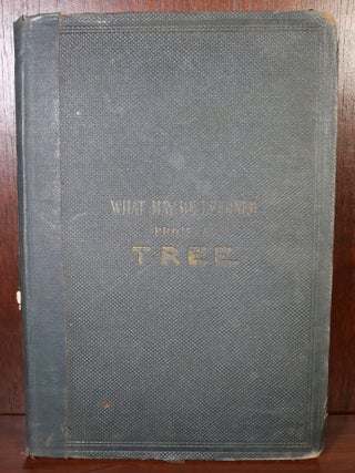 Item #5255 What May Be Learned From a Tree. Harland Coultas