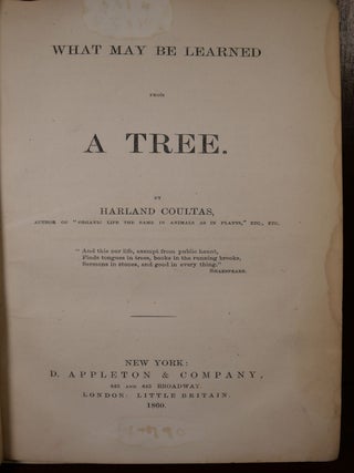 What May Be Learned From a Tree