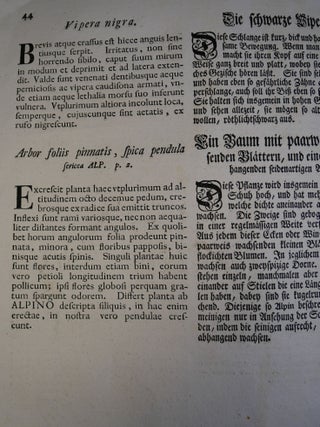 Single Leaf From National History of Carolina, Florida, and The Bahama Islands