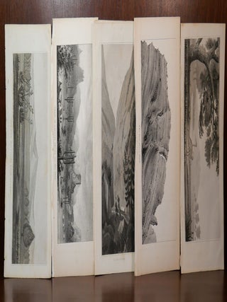 Item #5655 5 Lithographs from 1848 Nature Scenes Colorado/New Mexico. William Hemsley Emory