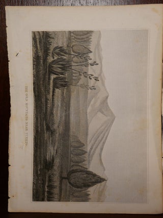 5 Lithographs from 1848 Nature Scenes Colorado/New Mexico