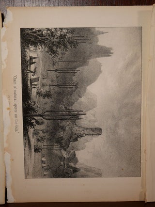 5 Lithographs from 1848 Nature Scenes Colorado/New Mexico