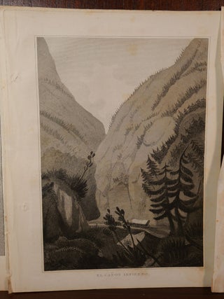 5 Lithographs from 1848 Nature Scenes Colorado/New Mexico