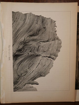 5 Lithographs from 1848 Nature Scenes Colorado/New Mexico