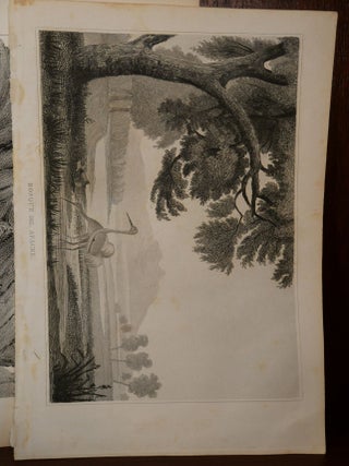 5 Lithographs from 1848 Nature Scenes Colorado/New Mexico