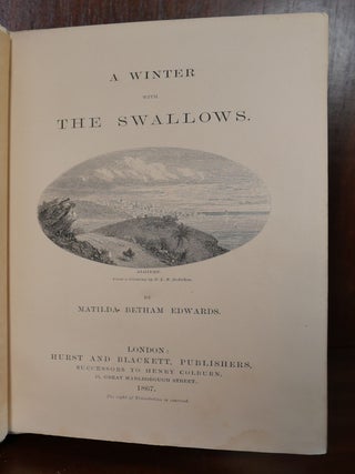 A Winter With The Shallows