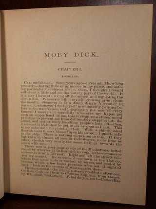 Moby Dick or the White Whale